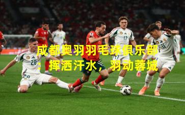 成都奥羽羽毛球俱乐部：挥洒汗水，羽动蓉城