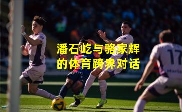 潘石屹与骆家辉的体育跨界对话